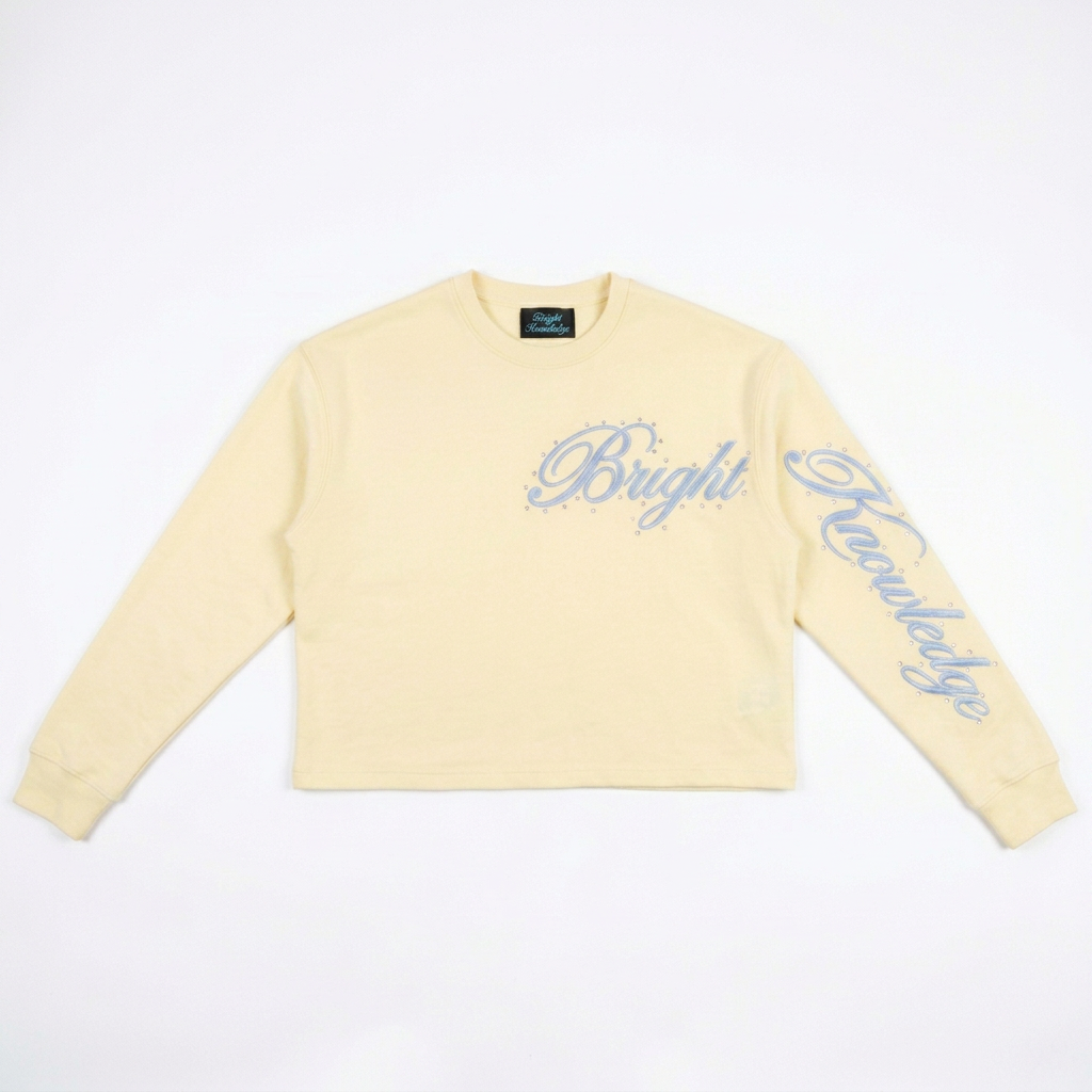 Cropped Blue Long Sleeve